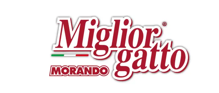 Migliorgatto