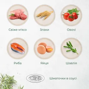 Morando Tradizioni кусочки в соусе с курицей, стручковой фасолью и томатами для собак