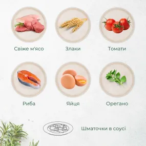 Morando Tradizioni кусочки в соусе с говядиной для собак