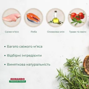 Morando Tradizioni Kitten с курицей и лососем для котят