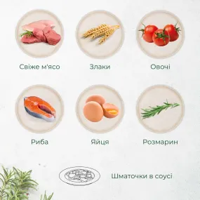 Morando Tradizioni шматочки у соусі з яловичиною для котів