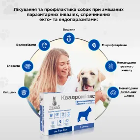 ModeS Квадромидас противопаразитарные таблетки для собак 32-64 кг, 3.2 г