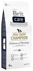 Brit Care Dog Show Champion